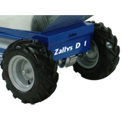 Zallys D1